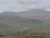 10190008.jpg (234869 bytes)
